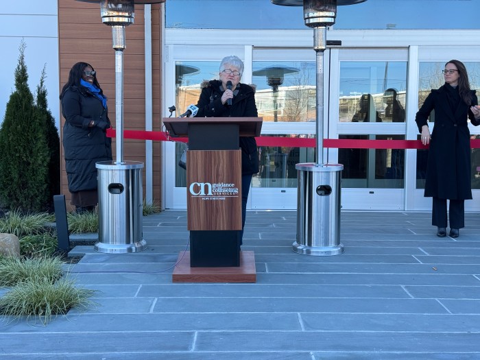 Anne Sullivan, the commissioner of the state Office of Mental Health, said the new center continues the state's mission to expand mental health services.