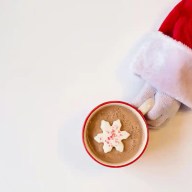 Here are 14 places on Long Island to dine with Santa this 2025 holiday season.