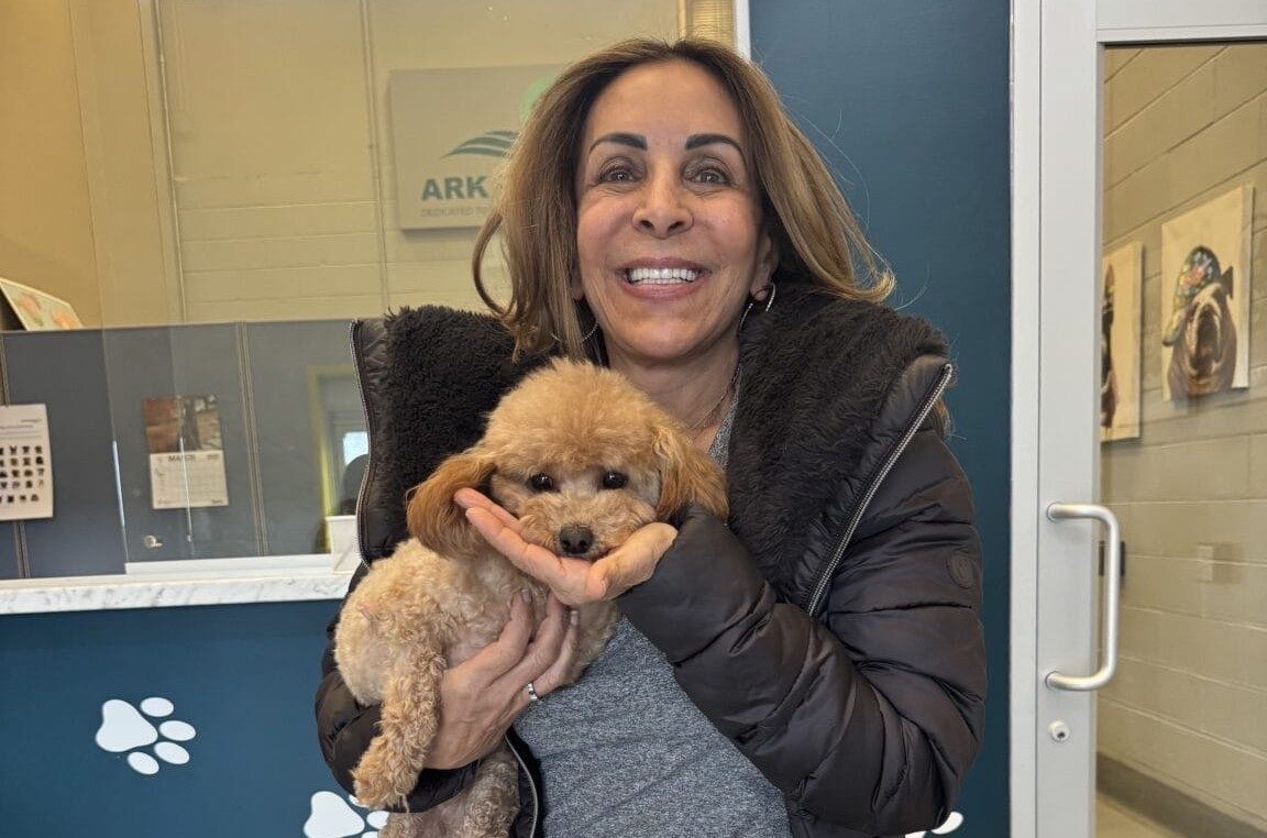 How a Long Island advocate is rescuing dogs from the global meat trade