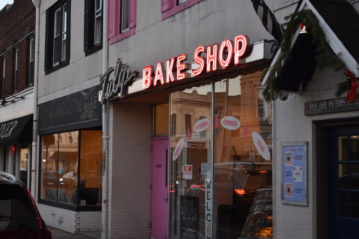 Floral Park's NY Forward application focuses on the Tulip Ave business district near the LIRR station.