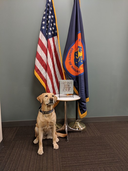 K-9 Leah won the ATF's "Top Dog" award.