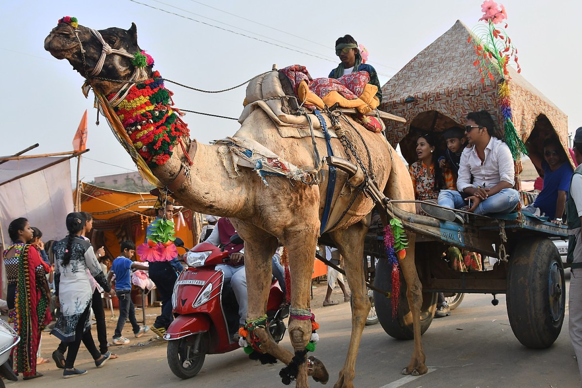 Going Places: Where to Go in 2026: Top International Destinations