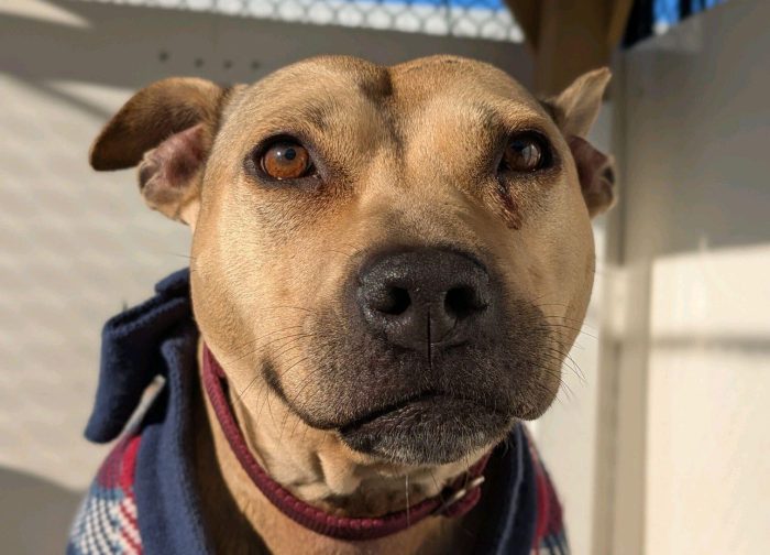 Jackie e1769806874602