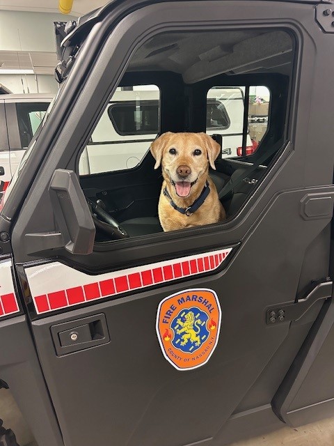 K-9 Leah is used to an active lifestyle, but is adjusting well to retirement, according to Matthew Kerin.
