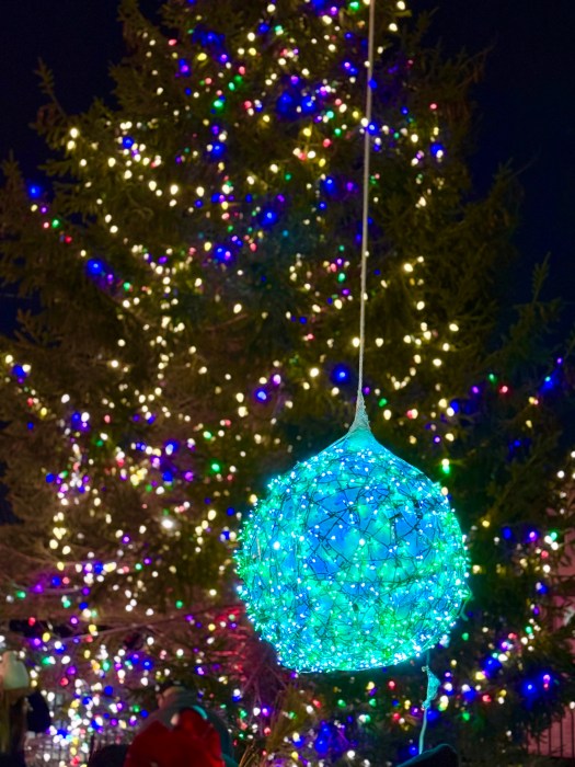 Farmingdale Village held its annual New Year’s Eve celebration, saying goodbye to 2025.