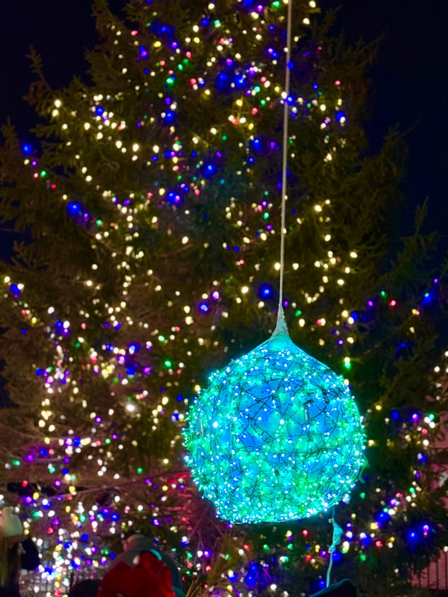 Farmingdale Village held its annual New Year’s Eve celebration, saying goodbye to 2025.