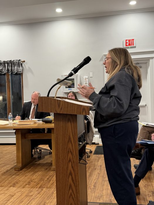 Manorhaven resident Christine Zahn said proposals like 42 Inwood Road are why R-1 and R-2 zones are needed in the village's building moratorium.