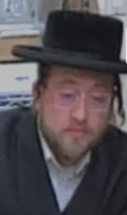 One of the two male suspects in the alleged grand larceny.