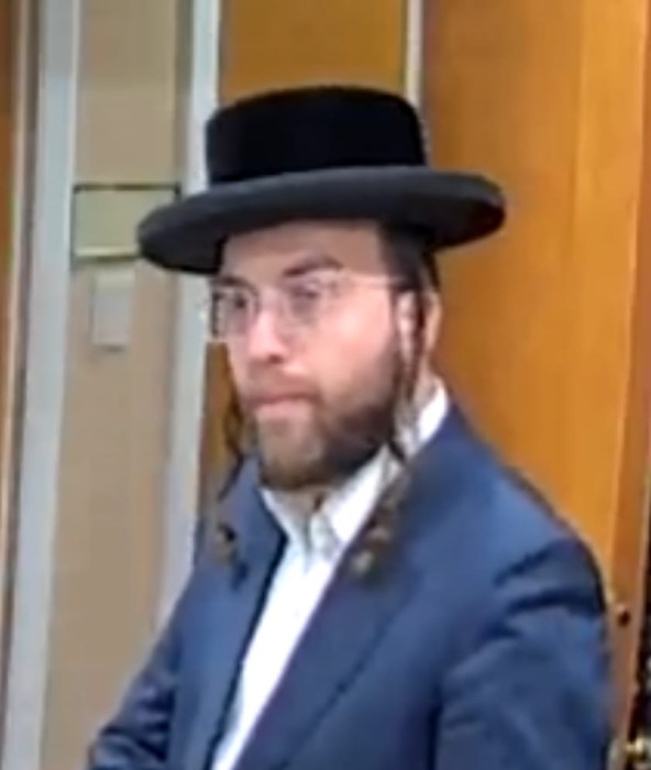 One of the two male suspects in the alleged grand larceny.