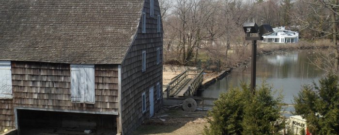 ny saddle rock saddle