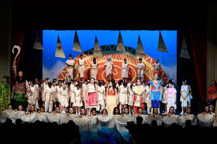 The story follows a girl attempting to save er island.