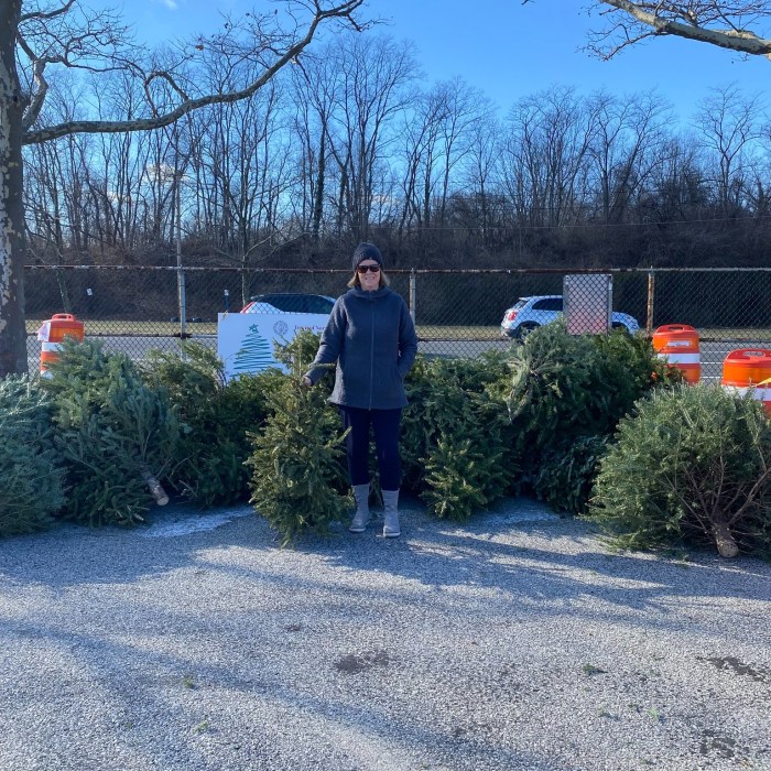 A volunteer with trees that will be recycled into mulch.