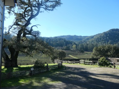 CA-Sonoma-_011226_501e2 (c) Karen Rubin-London