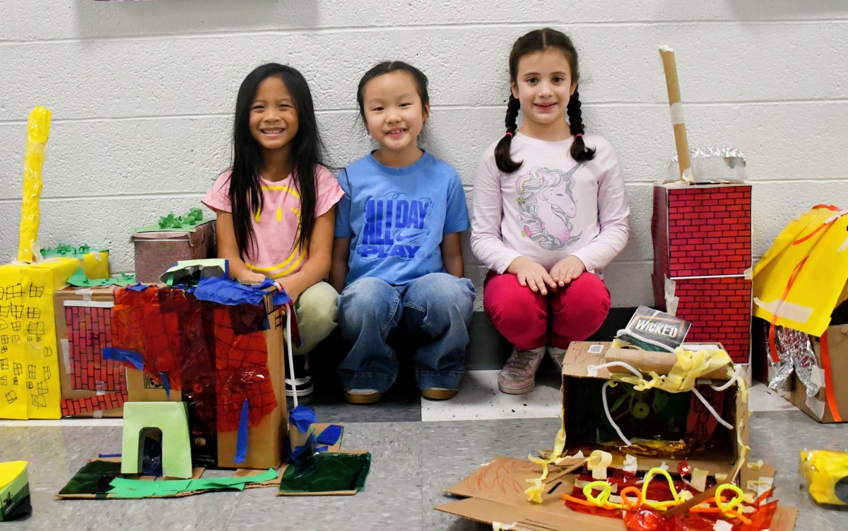 Cherry Lane School second grade students created urban, suburban and rural community designs through project-based learning.