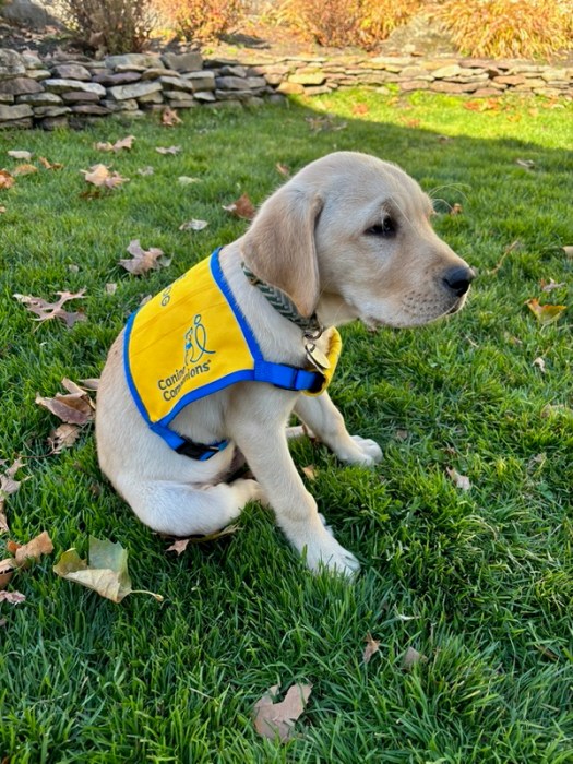 Fritz is the sixth puppy the couple has trained.