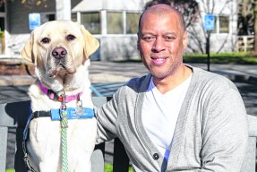 longislandpress.com - Long Island Press - Movers & Shakers: February 2026 hires, promotions on Long Island