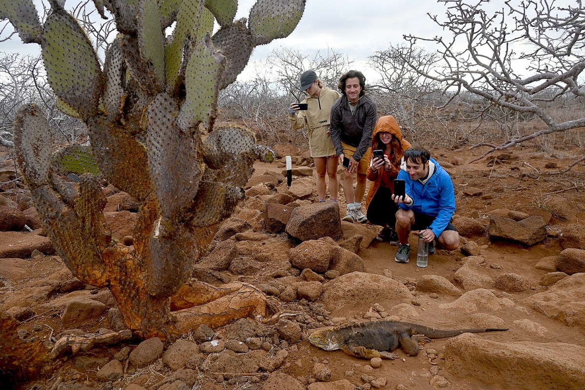 Going Places: Multigenerational Families Seek Out Adventure Travel to Experience Together