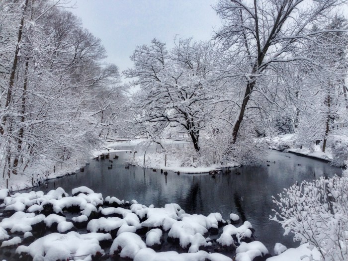 Baxter Pond in Port Washington after the winter blizzard. 