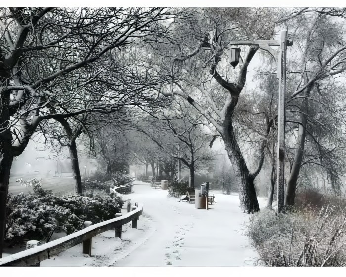 The Bay Walk in Port Washington after the blizzard.