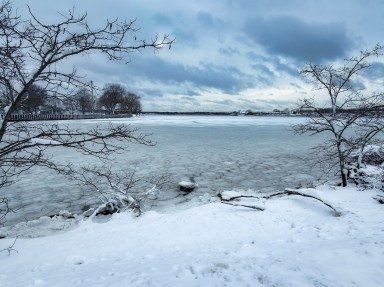 Storm Roy Schneider Manhasset Bay