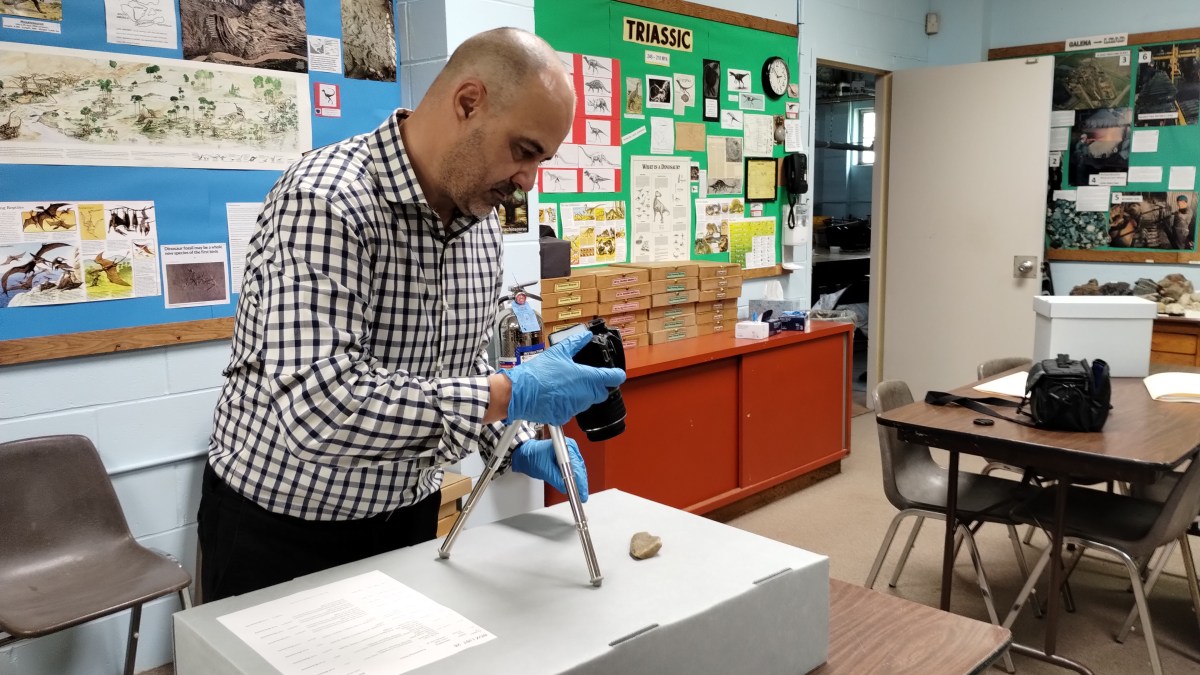 St. John's Professor John DiMarco authored 'Hidden in Massapequa: Unearthing Fort Massapeag' after learning about the site's unique history.