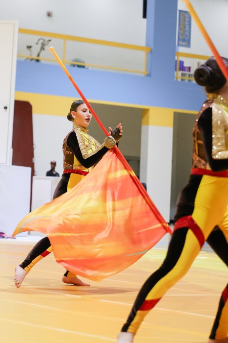 The Roslyn Colorguard in action at the Celebration of Color.