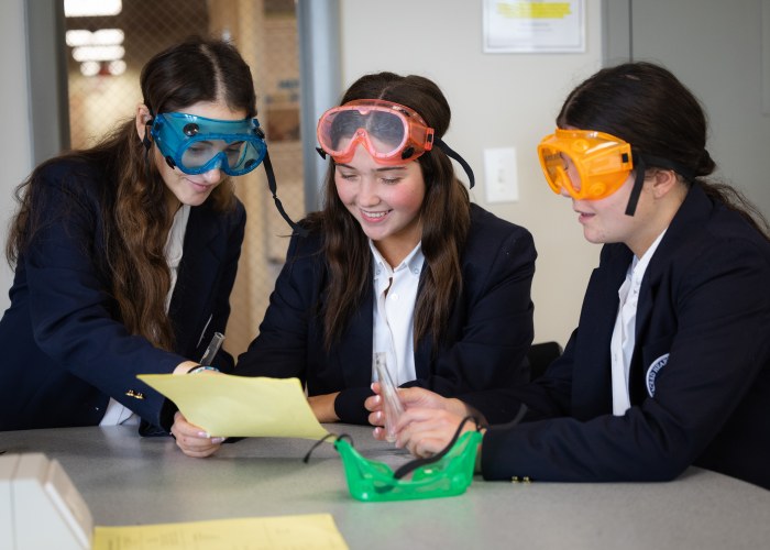 Sacred Heart Academy earned a platinum distinction for its college-level education.