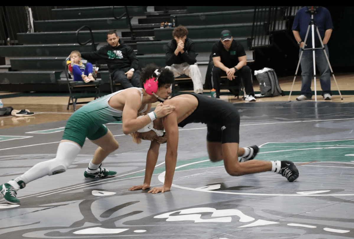 httpsphotos.google.comshareAF1QipPIn6VGnj5hr79EtFyELp1EhI4kO1EGatBks6dX5TfReAo4ufZifvK_Shu_5wfYogkey=VXIwaEQ1aFFQUkx1QVl5U