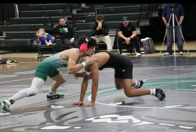 httpsphotos.google.comshareAF1QipPIn6VGnj5hr79EtFyELp1EhI4kO1EGatBks6dX5TfReAo4ufZifvK_Shu_5wfYogkey=VXIwaEQ1aFFQUkx1QVl5U