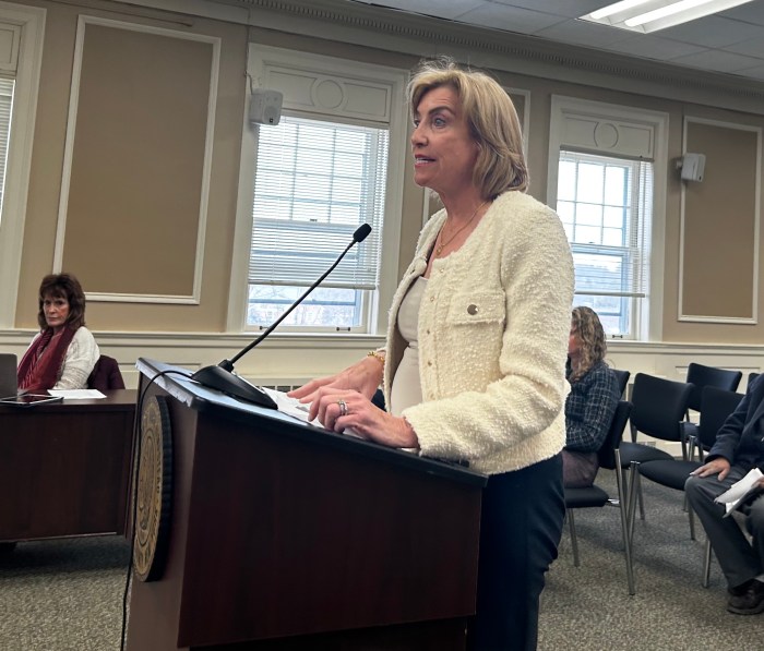 Charlene Prounis speaking to the board about Harbor Links