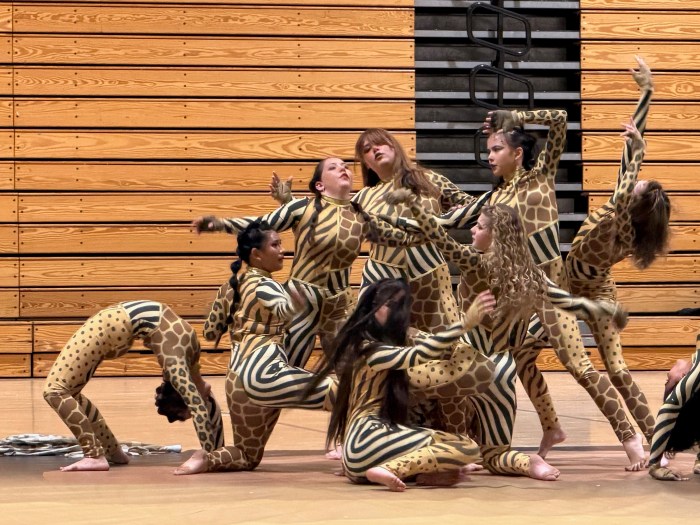 Hicksville ColorGuard performed their jungle themed production at the 3rd annual Celebration of Color.