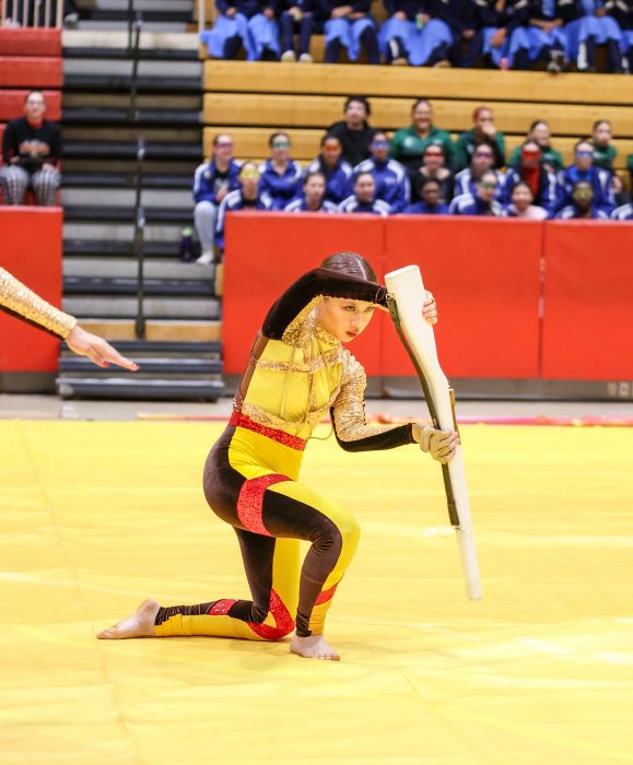 The Roslyn Colorguard in action at the Celebration of Color.