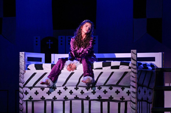 The two-night run showcased the talents of dozens of students.