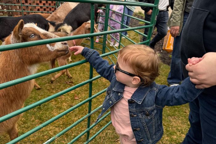 Children can enjoy petting zoos during All Kids Fair.