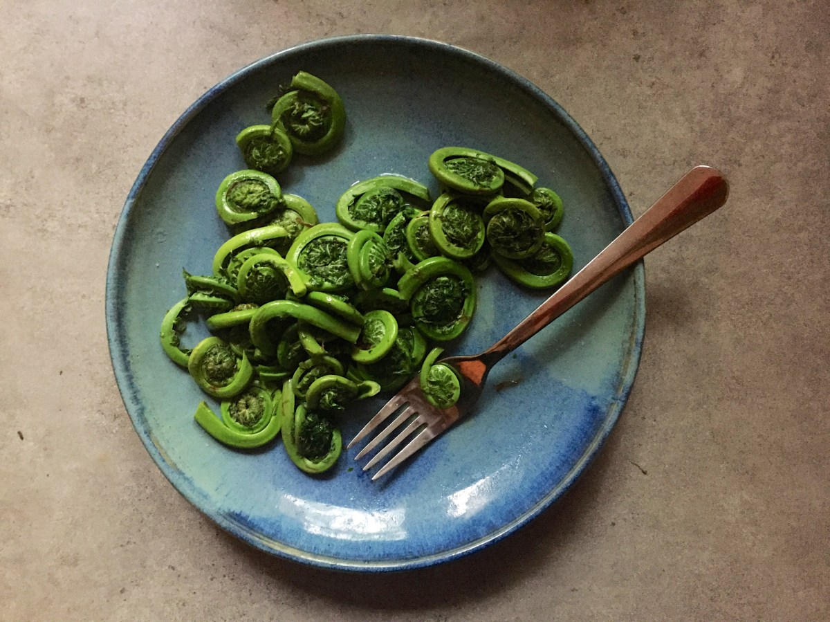 Steamed fiddleheads with fork on blue stoneware plate