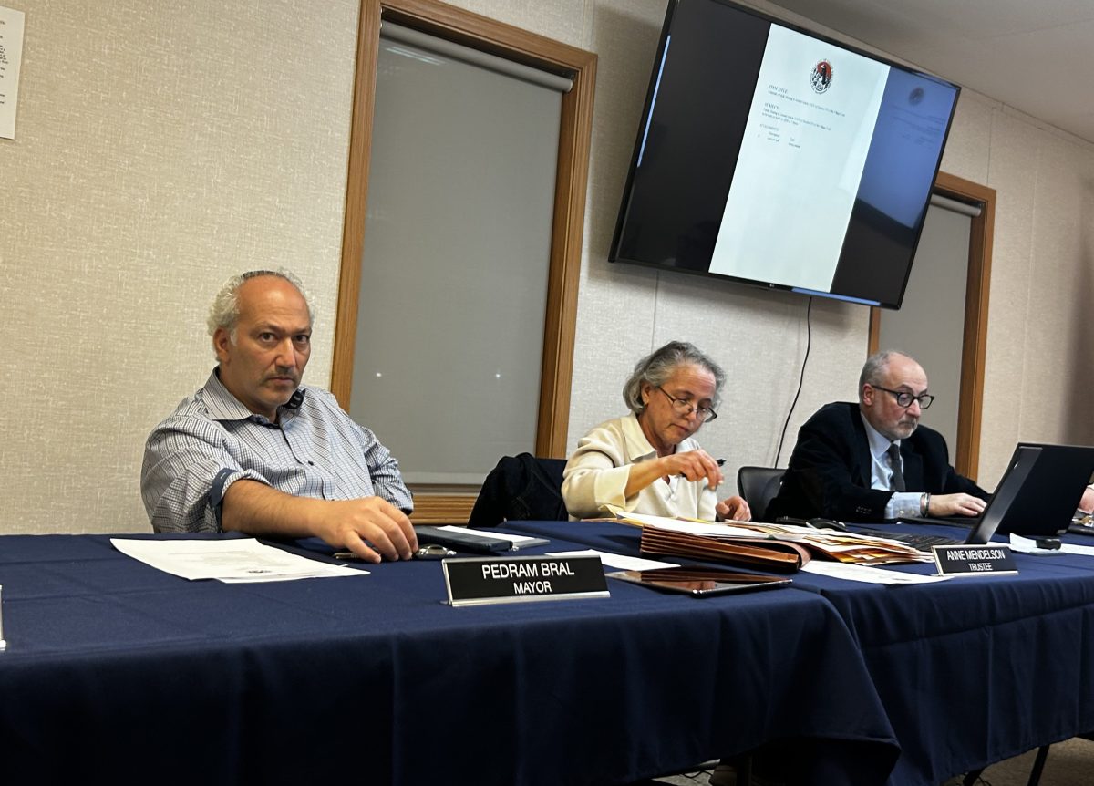 Mayor Pedram Bral, Trustee Anne Mendelson, and Deputy Mayor Barton Sobel (L. to R.) at the Tuesday, March 10, village board meeting.