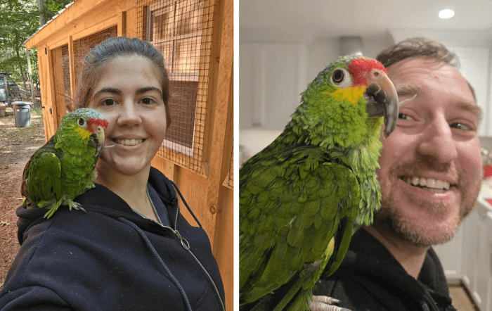 “Out of this horror, there is hope,” the Humane Long Island said, describing how an elderly disabled Amazon parrot named Obie—who has a club foot and crossbeak—now resides peacefully in a sanctuary at the organization. 